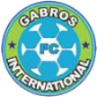 Gabros International