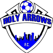 Holy Arrows