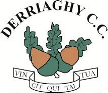 Derriaghy Derriaghy