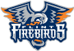 Flint Firebirds