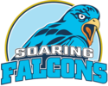 Adamson Soaring Falcons