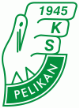 Pelikan Łowicz