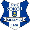 Sokół Sieniawa Sokół Sieniawa