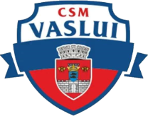 CSM Vaslui