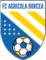 Agricola Borcea