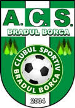 Bradu Borca