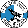Corvinul Hunedoara