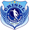 Crisul Chișineu Criș