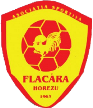 Flacăra Horezu