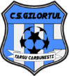 Gilortul Târgu Cărbunești