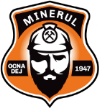 Minerul Ocna Dej