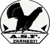 Olimpic Zărneşti