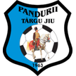 Pandurii Târgu Jiu