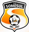 Someșul Dej Someșul Dej