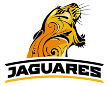 Jaguares