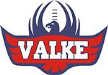 Falcons Falcons