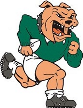 Border Bulldogs Border Bulldogs