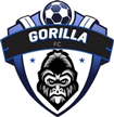 Gorilla Gorilla