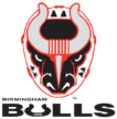 Birmingham Bulls