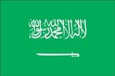 Saudi Arabia U19