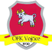 Vojcice Vojcice