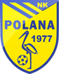 Polana Polana