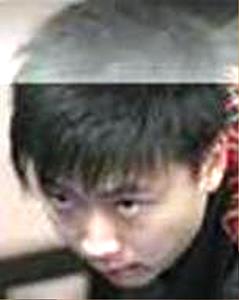 Lu Chenwei