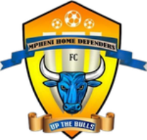 Mpheni Home Defenders