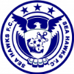 Navy Sea Hawks Navy Sea Hawks