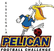 Pelicans Pelicans
