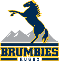 Brumbies