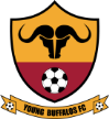 Young Buffaloes Young Buffaloes