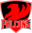 Falcons