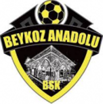 Beykoz Anadolu