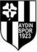 Aydinspor