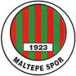 Istanbul Maltepespor