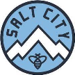 Salt City