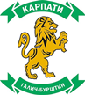 Karpaty Halych Karpaty Halych