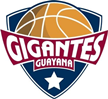 Gigantes de Guayana