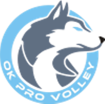 PRO Volley PRO Volley