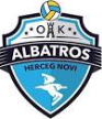 Albatros Albatros