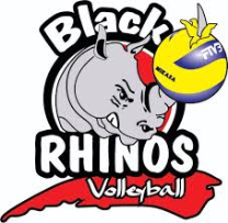 Black Rhinos