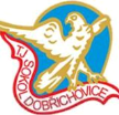 Sokol Dobřichovice