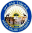 Madda Walabu University Madda Walabu University