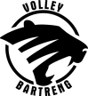 Bartreng