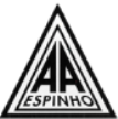 Académica de Espinho