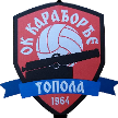 Karadjordje Topola