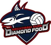 Diamond Food Diamond Food