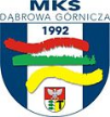 Dąbrowa Górnicza