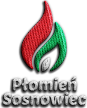 Płomień Sosnowiec Płomień Sosnowiec